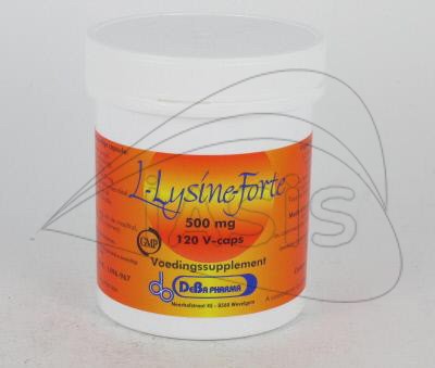 L-LYSINE FORTE 500 mg 120 caps (complément alimentaire)