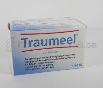 TRAUMEEL HEEL 250 COMP               (médicament homéopatique)
